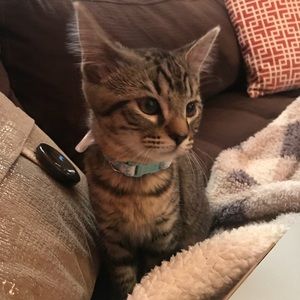 Meet your Posher, Madison